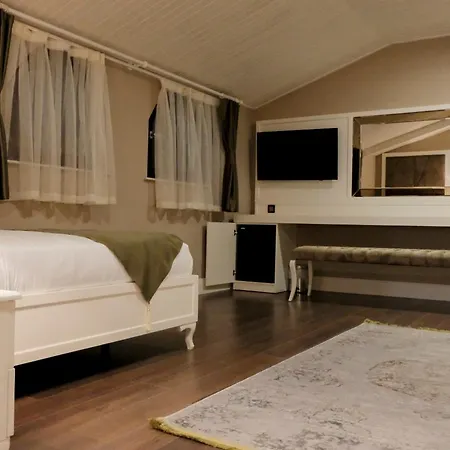 Bandirma Palas Hotel Ξενοδοχείο 2*