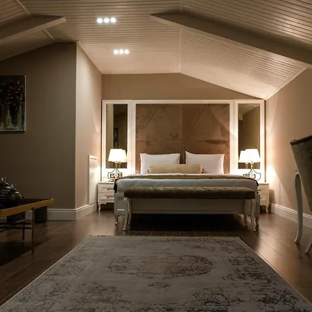 Ξενοδοχείο Bandirma Palas Hotel