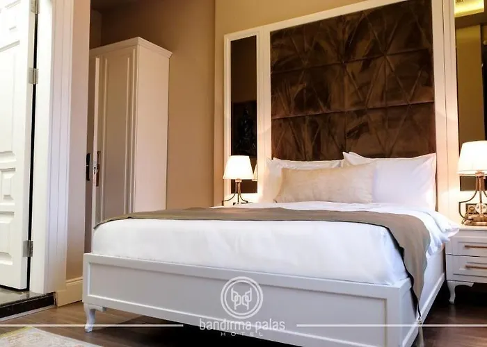 Bandirma Palas Hotel 2*