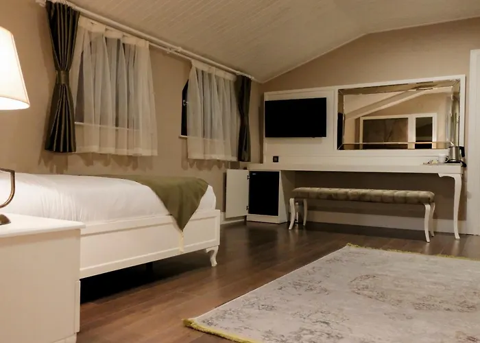 Bandirma Palas Hotel ホテル 2*