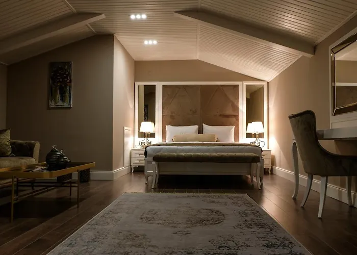 ホテル Bandirma Palas Hotel