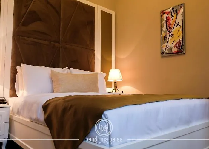 Bandirma Palas Hotel ホテル 2*